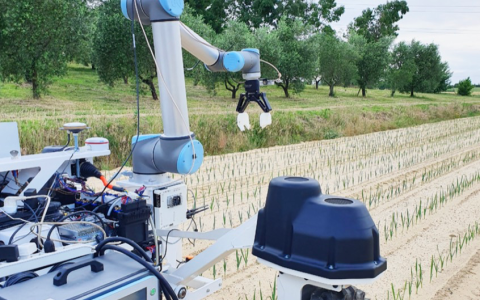 ����������ũҵ�����������