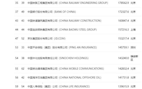 �й�����500ǿ��ҵ������ҵ���� ��������ů �߼����������Ӿ�