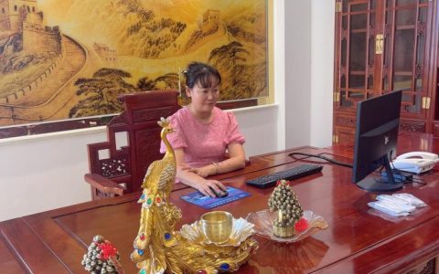 ���������ӿƼ������ص�����ҵ���ƾ���