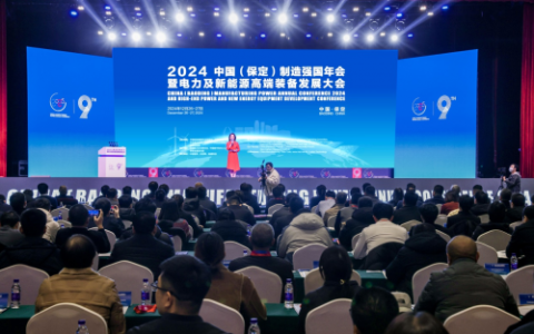 �麣�Ƹ߿Ƽ��ɷ����޹�˾  ������ϯ2024�й�����ǿ�����