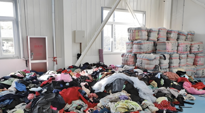 202512171503141337219295