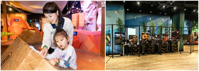 202603051628161904260962