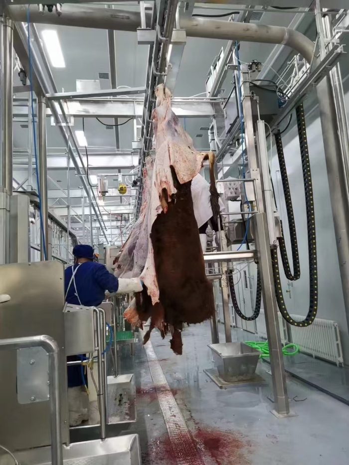 70002baa2c8d71151a939fb4246f50ae