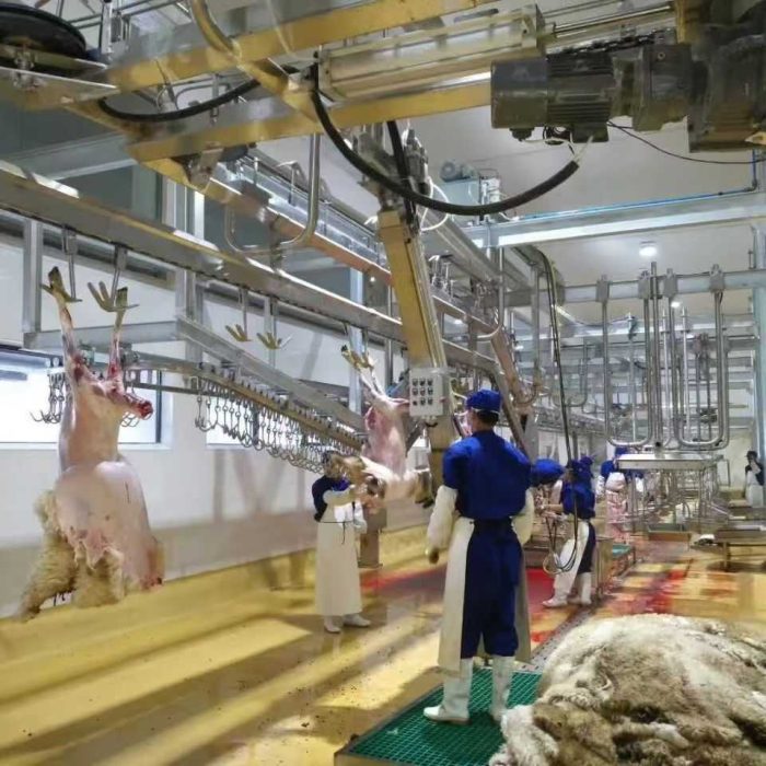 ac951b700ece5f0215e2ebf6f0b71391