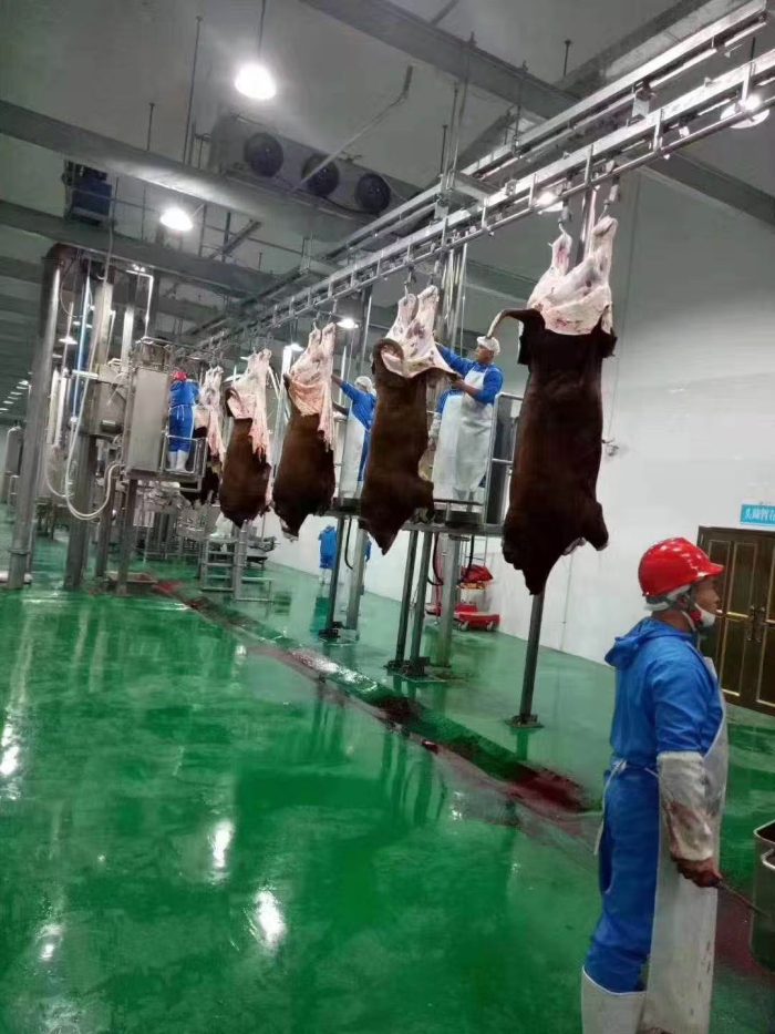 ce95dbbf7683a44b7c210191cbed3d95